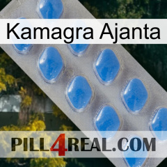 Kamagra Ajanta 22